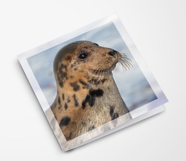 Inspiration Greeting Card Satisfaction! (Seal)