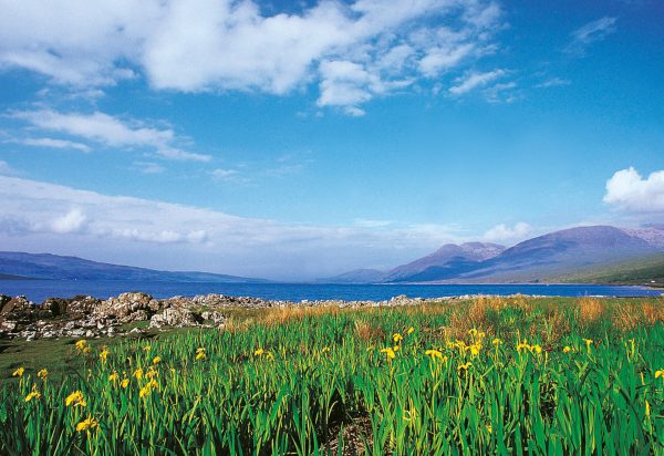 Small Postcard Loch Na Keal Isle of Mull pack of 50