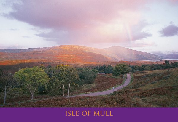 Small Postcard Autumn Light pack of 50