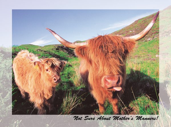 SN Greeting Card Not Sure About Mother's Manners!