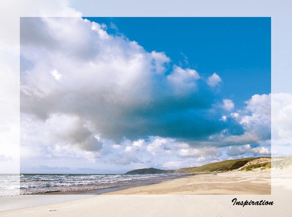 SN Greeting Card Inspiration