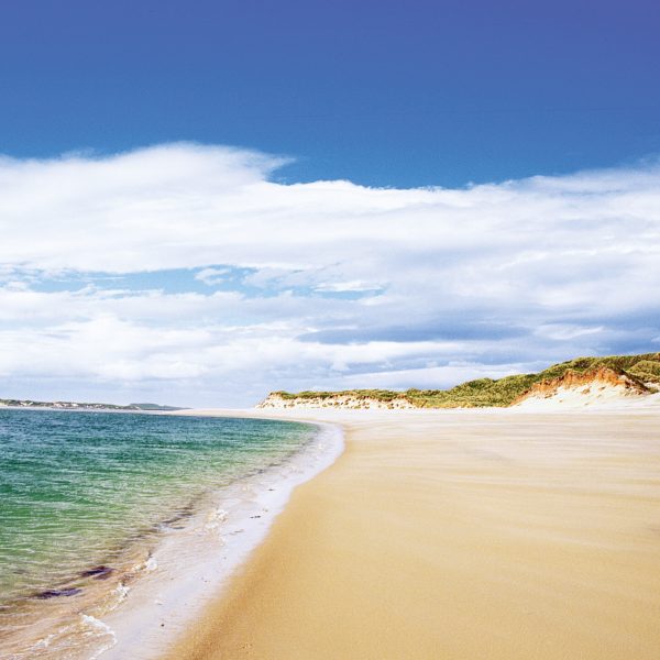 Island Blue Notecard Wallet Islay