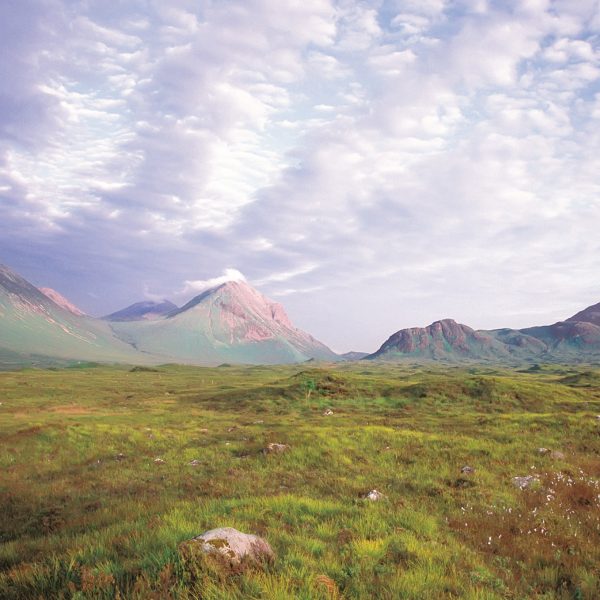 Island Blue Notecard Wallet Skye