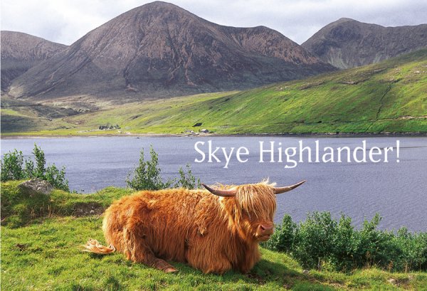 Photographic Magnet Skye Highlander pack of 5