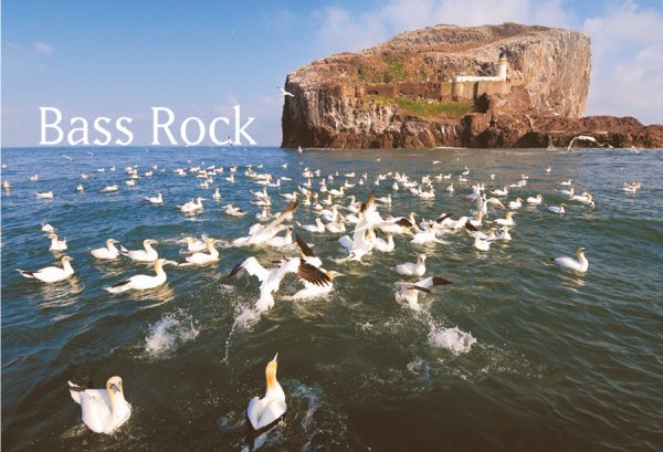 Photographic Magnet Bass Rock pack of 5