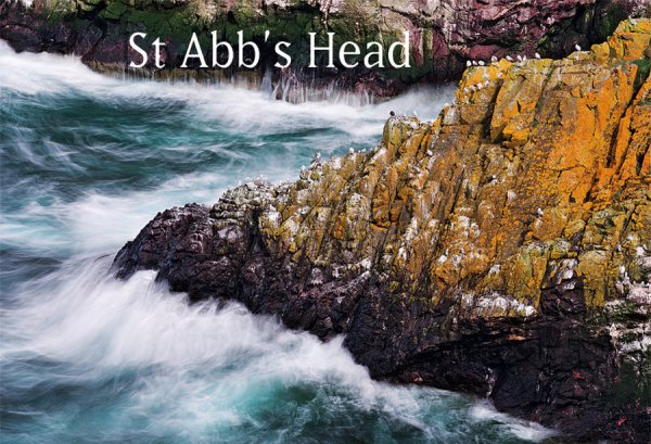 Photographic Magnet St Abbs Head pack of 5