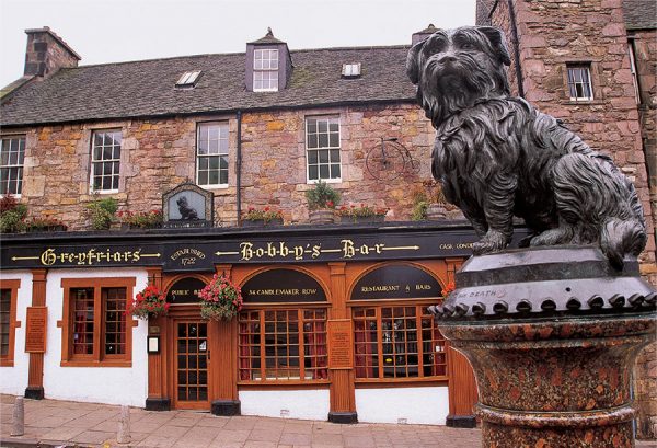 Photographic Magnet Statue of Greyfriar's Bobby on Candlemaker Row pack of 5