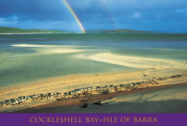 Small Postcard Cockleshell Bay Barra pack of 50