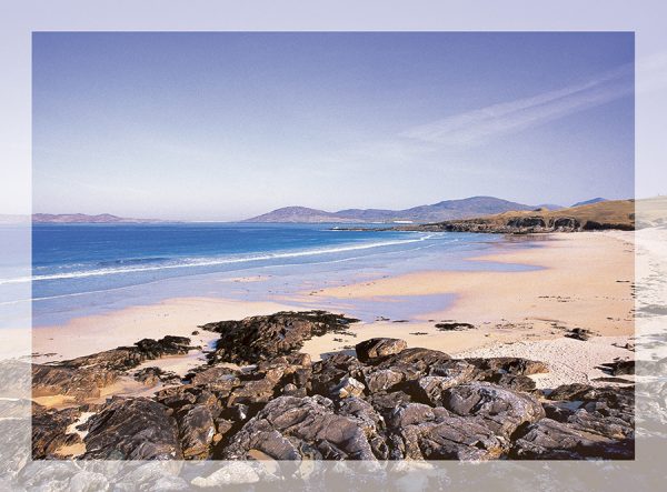 Large Greeting Card C37180