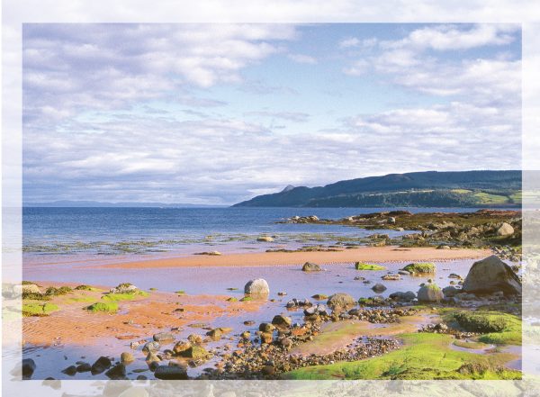 Large Greeting Card C37161