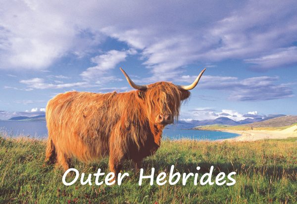 Small Postcard Highland Cow Outer Hebrides pack of 50