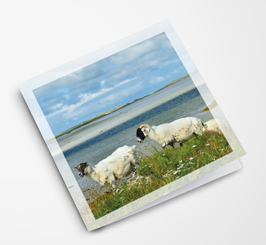 Inspiration Greeting Card Baleshare North Uist
