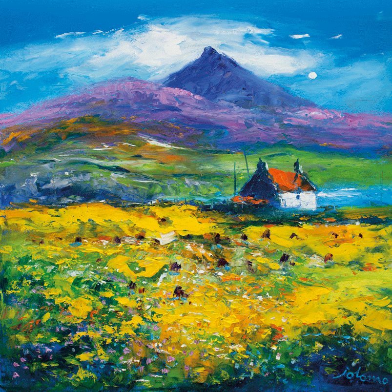 JOLOMO Fridge Magnet Wee Peat Stacks and Wild Machair Flowers South Uist pack of 5