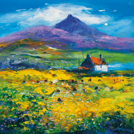 JOLOMO Postcard Wee Peat Stacks and Wild Machair Flowers South Uist pack of 25