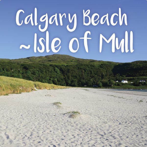 Photographic Coaster Calgary Beach Isle of Mull pack of 10