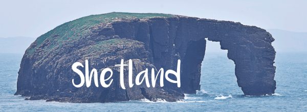 Photographic Magnet Dore Holm Shetland pack of 5