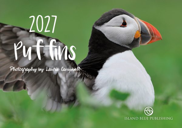 Island Blue 2027 Landscape Calendar Puffins